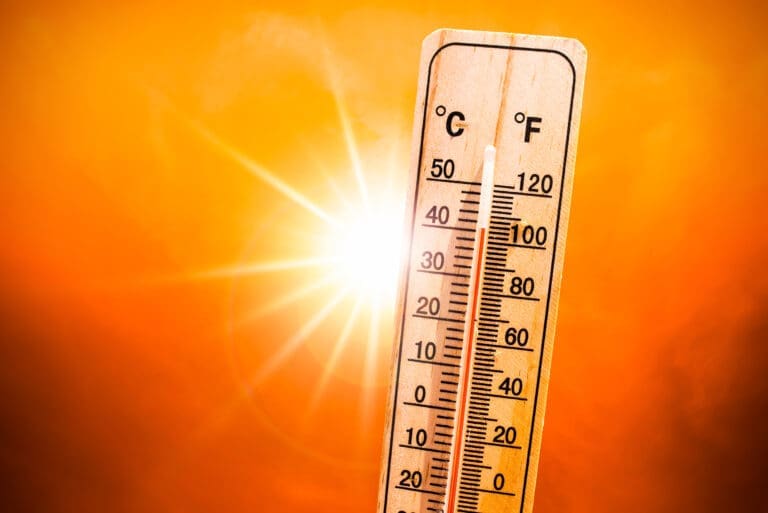 summer safety tips